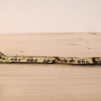 Super-Stratum (Measuring Tape)
10.5” x 0.75”
oil paint over entire surface of found piece of measuring tape
2013 Super-Stratum (Measuring Tape) 10.5” x 0.75” oil paint over entire surface of found piece of measuring tape 2013