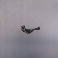 Caput Mortuum I (series)
3’ x 2’ each
oil paint on aluminum sheet
2012 Caput Mortuum I (series) 3’ x 2’ each oil paint on aluminum sheet 2012