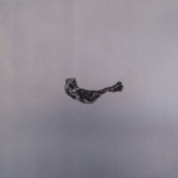 Caput Mortuum I (series)
3’ x 2’ each
oil paint on aluminum sheet
2012 Caput Mortuum I (series) 3’ x 2’ each oil paint on aluminum sheet 2012