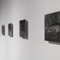 217 (Elephant’s Foot) (series)
10” x 8” each
graphite on gessoed aluminum
2016 217 (Elephant’s Foot) (series) 10” x 8” each graphite on gessoed aluminum 2016