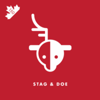 What Canadians call a Bachelor and Bachelorette party.