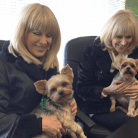 Zoey & Jackson seem right at home.