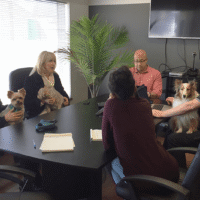 All hands and paws on deck.