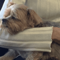 Some of us couldn't stay awake through the meeting.