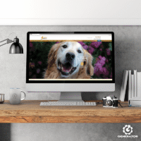 Golden Rescue viewed on desktop Golden Rescue viewed on desktop