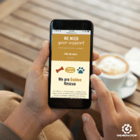 Golden Rescue viewed on a phone Golden Rescue viewed on a phone